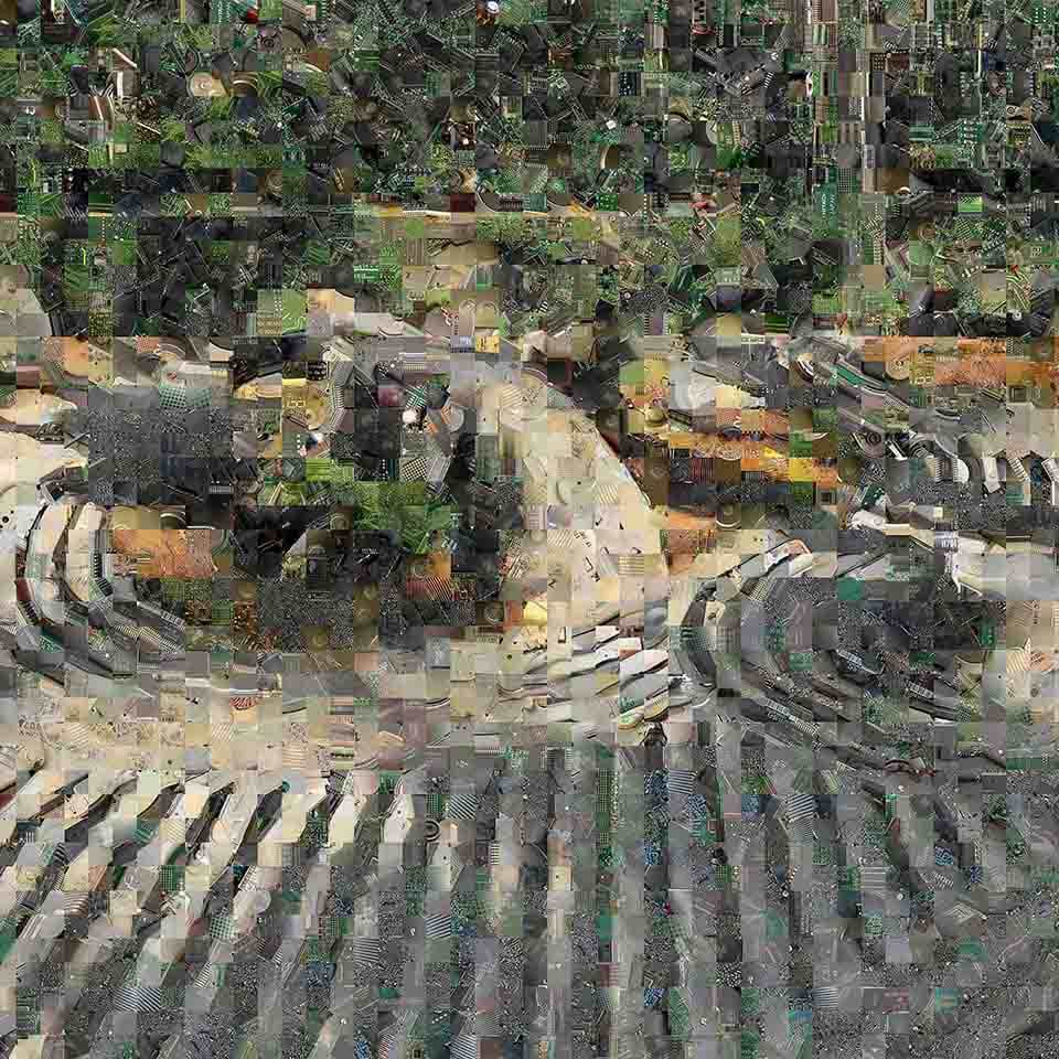 禅の庭 [妙心寺塔頭 退蔵院「陰陽の庭」の「陰の庭」]　Zen Garden [Myōshin-ji Taizō-in Temple “Yang-no-niwa” of “Yin and Yang-no-niwa ”Garden]
