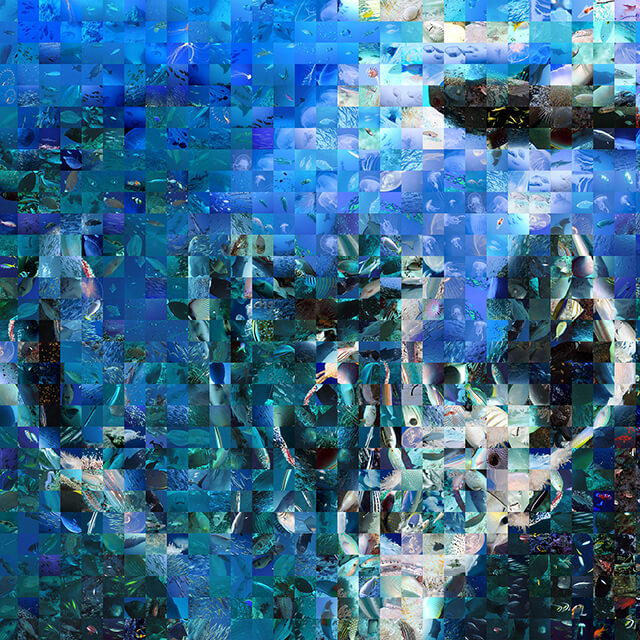 2010年から現在までの作品